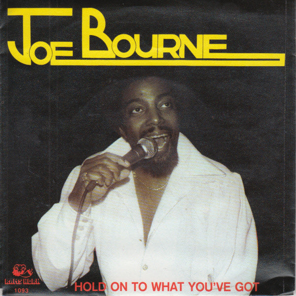 Joe Bourne - Hold On To What You've Got 30958 Vinyl Singles Vinyl Goed / Hoes Goed