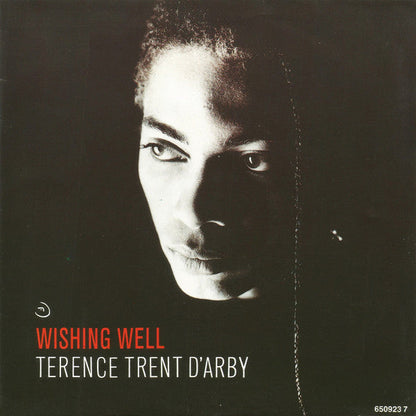Terence Trent D'Arby - Wishing Well 37405 Vinyl Singles Vinyl Goed / Hoes Goed