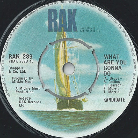 Kandidate - I Don't Wanna Lose You 11032 Vinyl Singles Vinyl Goed / Hoes Goed