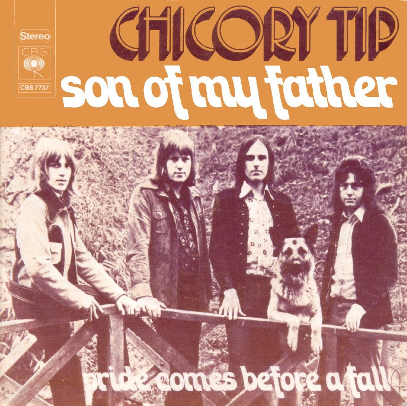 Chicory Tip - Son Of My Father Vinyl Singles Vinyl Zeer Goed / Hoesje Goed "VINYLSINGLES.NL"