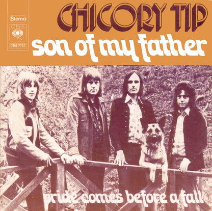 Chicory Tip - Son Of My Father Vinyl Singles Vinyl Zeer Goed / Hoesje Goed "VINYLSINGLES.NL"